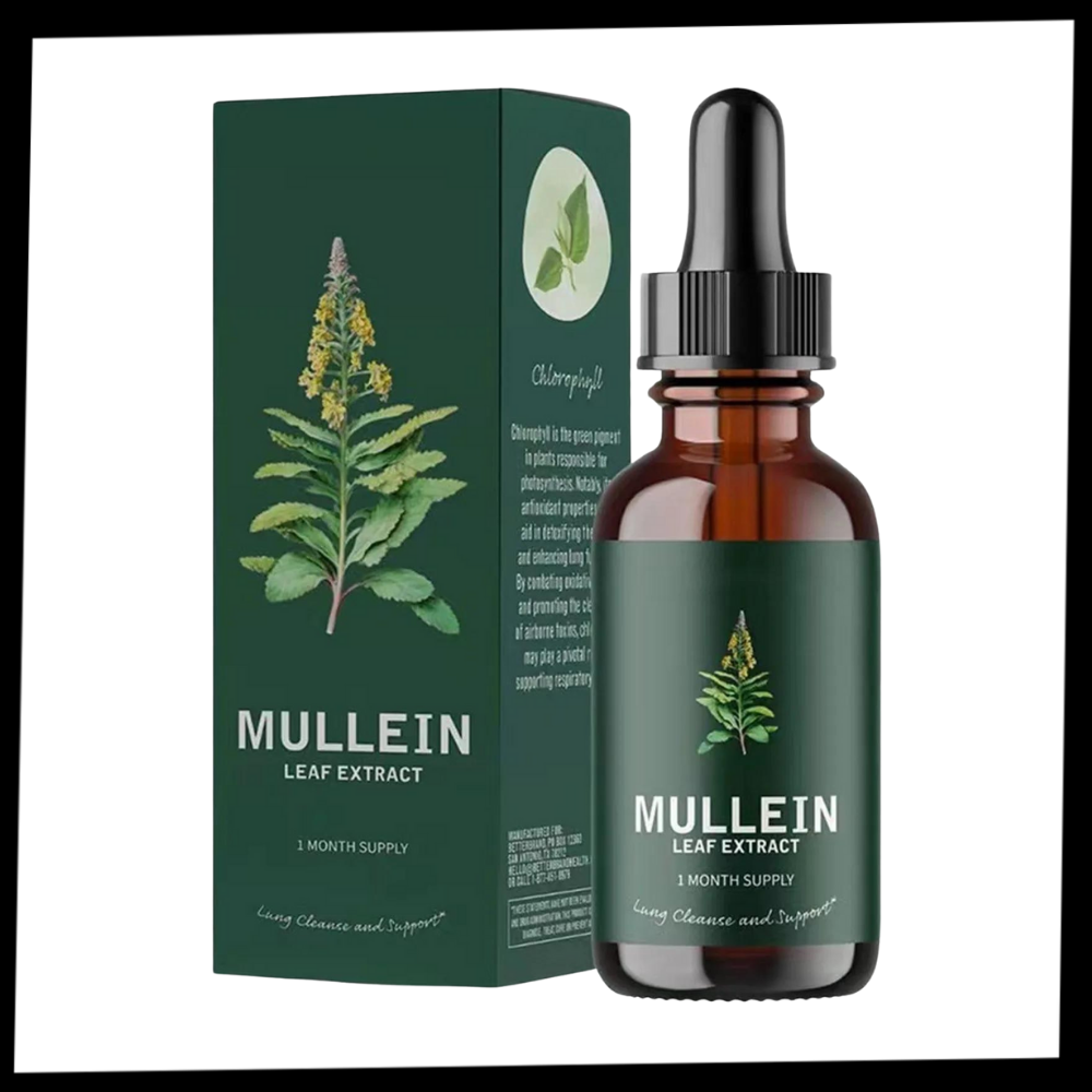 Gezonde levensstijl met Mullein: ondersteunt longen, zuivert luchtwegen en bevordert algehele gezondheid.