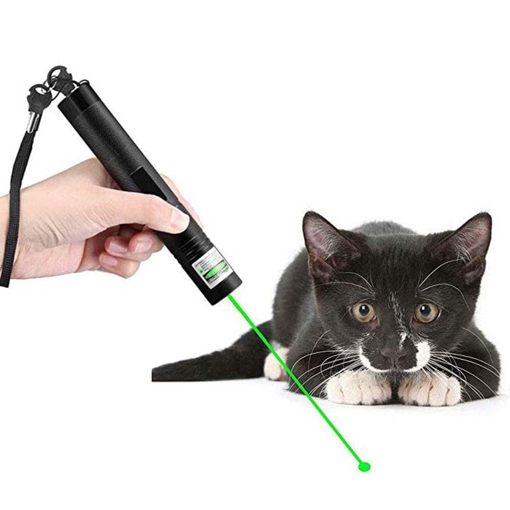 Groene en rode precisie laserpointer; een krachtige, sterk zichtbare aanwijzer voor elke presentatie.