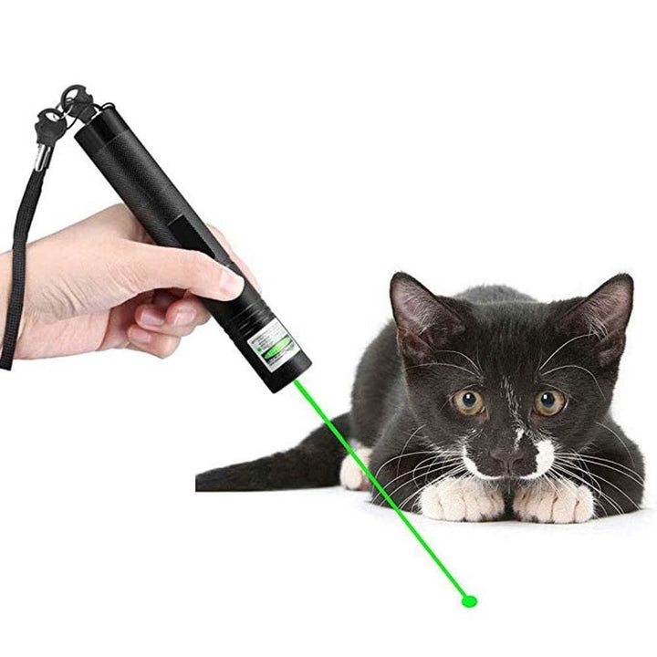 Groene en rode precisie laserpointer; een krachtige, sterk zichtbare aanwijzer voor elke presentatie.