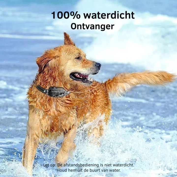 Oplaadbare hondentrainingshalsband, duurzaam trainingshulpmiddel voor gehoorzaamheid en gedragscorrectie van honden.