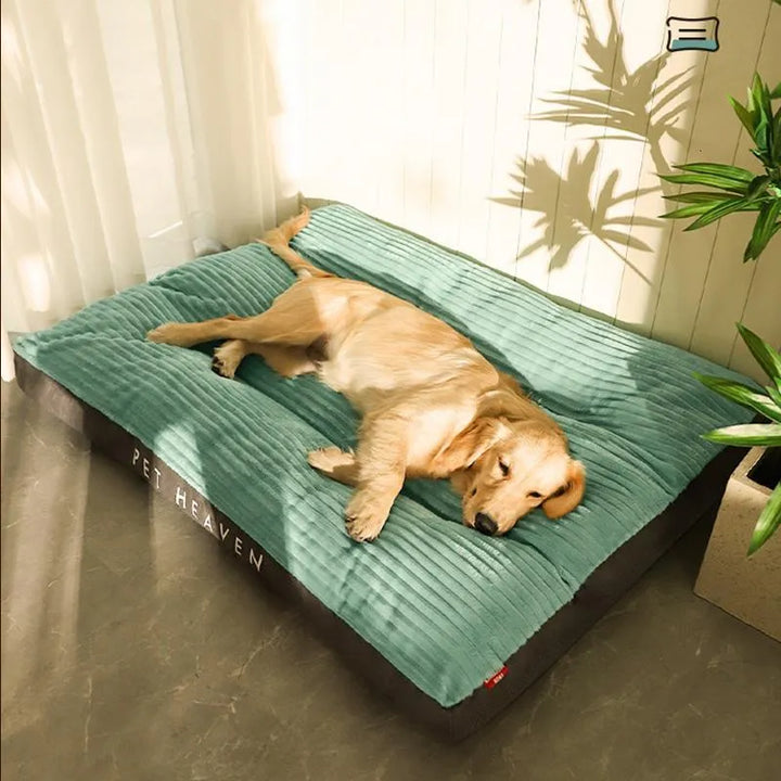 Zacht orthopedisch hondenkussen met wasbare fleece hoes biedt superieure gewrichtsondersteuning voor honden.