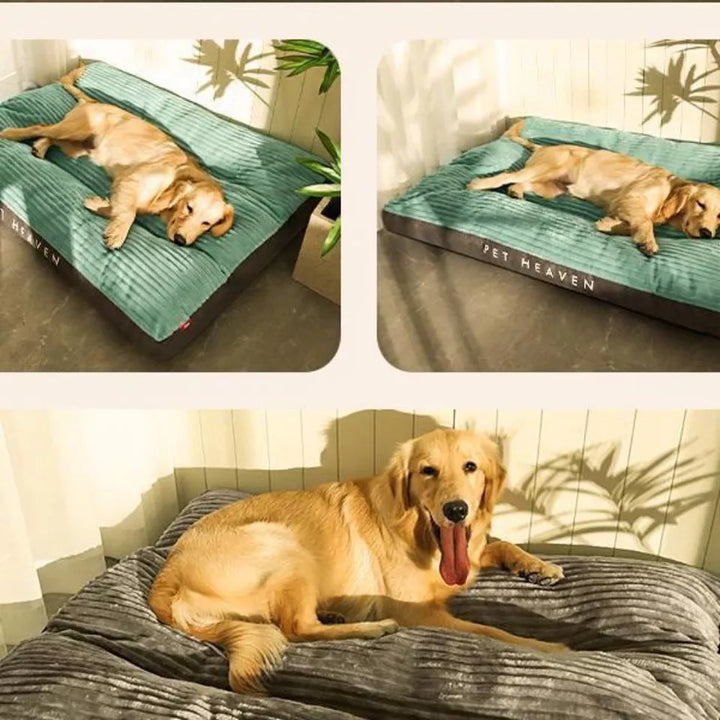 Afneembare hoes van het orthopedisch hondenkussen SnuggleRest maakt wassen eenvoudig, voor een fris en schoon huisdierbed.