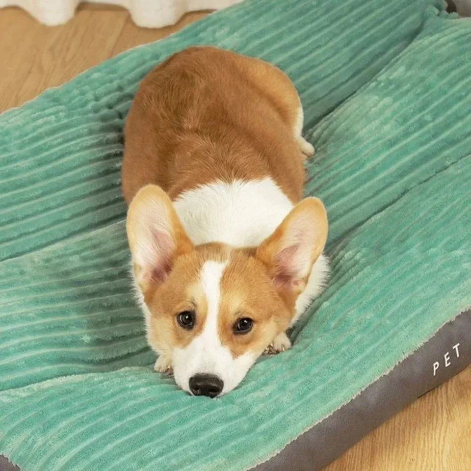 Geef je hond een goede nachtrust met dit orthopedisch hondenkussen, ideaal voor oudere honden met gewrichtsproblemen.