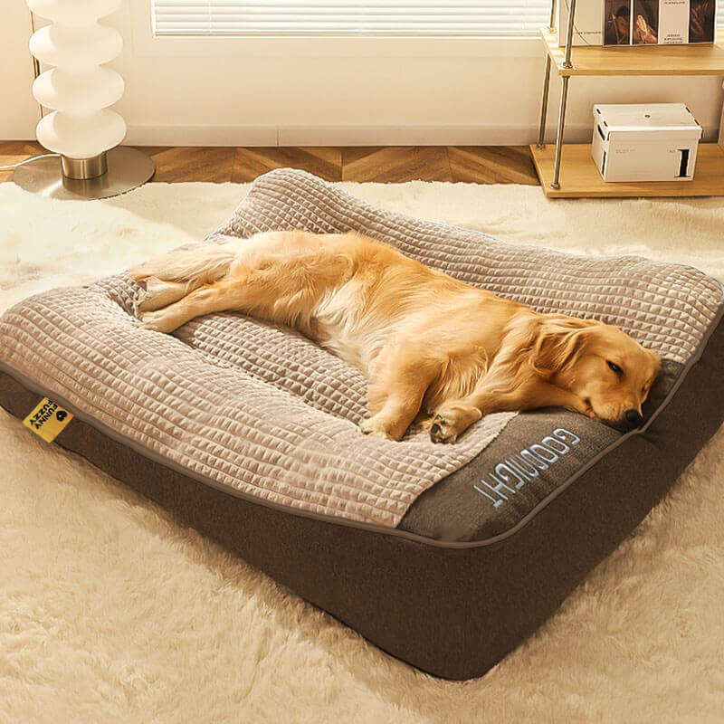 Groot en dik orthopedisch hondenbed, ideaal voor honden met gewrichtsproblemen, biedt optimale steun.