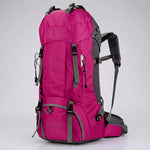 Roze