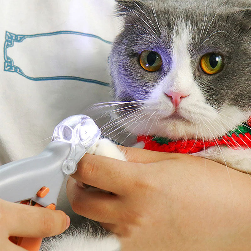 Trim hondennagels veilig en effectief met de PawGuard Honden Nagelknipper Pro voor pijnloze verzorging.