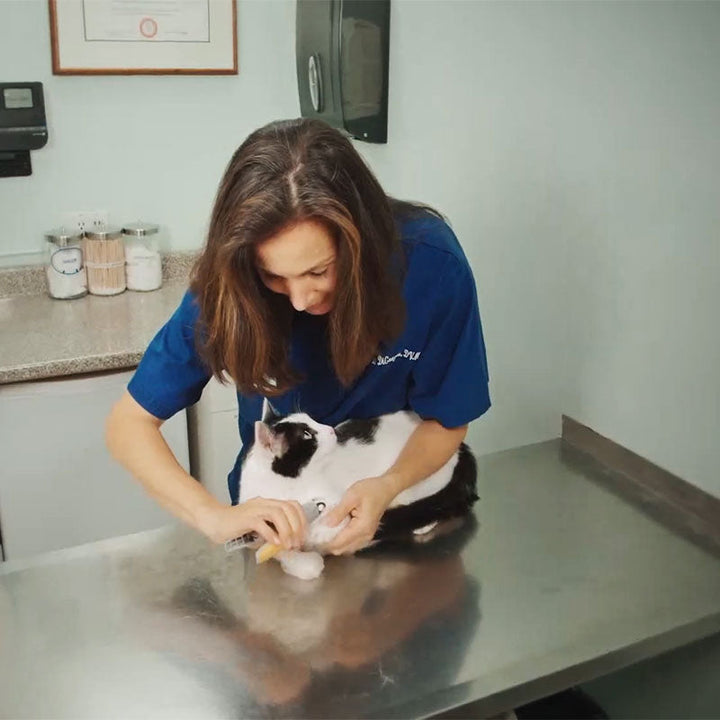 PawGuard Honden Nagelknipper Pro voor moeiteloos en veilig trimmen van hondennagels, zonder stress.
