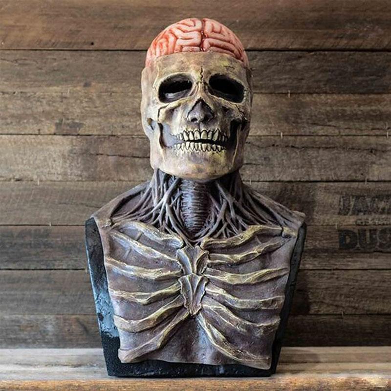 Volwassen griezelig Halloween masker: realistisch skelet met hersenen, ideaal voor horrorfeesten en enge kostuums.