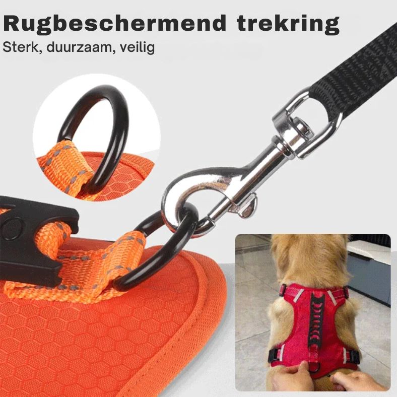 Hondenharnas met hoge zichtbaarheid voor nachtelijke wandelingen, reflecterend en trekvrij voor extra veiligheid.