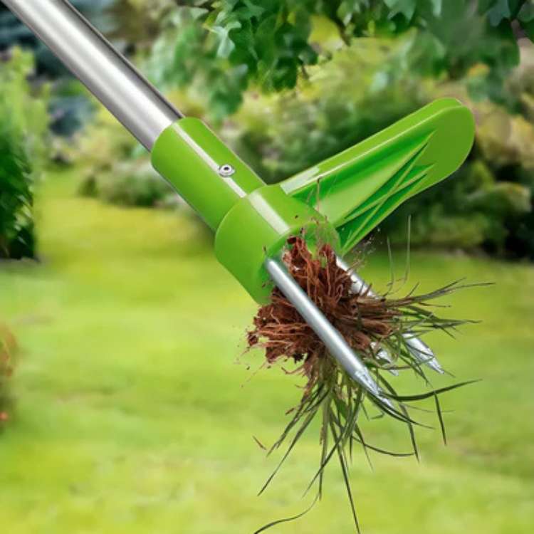 Detail van de RootRipper onkruidtrekker, ontworpen voor diepgaande onkruidverwijdering uit de tuin.