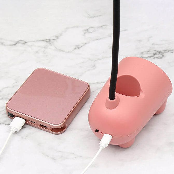 Moderne en schattige LED kinderbureaulamp met organizer en USB-oplader, diverse kleuren.