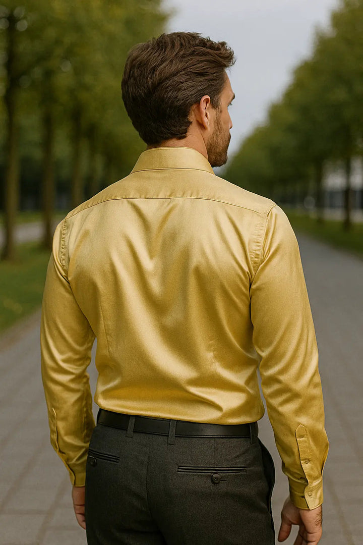 Feestelijk heren slim fit overhemd met lange mouwen, veelzijdig voor gala, feesten en chique avonden.