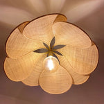 Lichtbruin