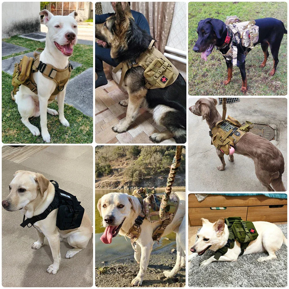 Duurzaam nylon tactisch hondentuig en riem voor grote honden. Gebouwd voor avontuur, training en dagelijks gebruik. Robuust.