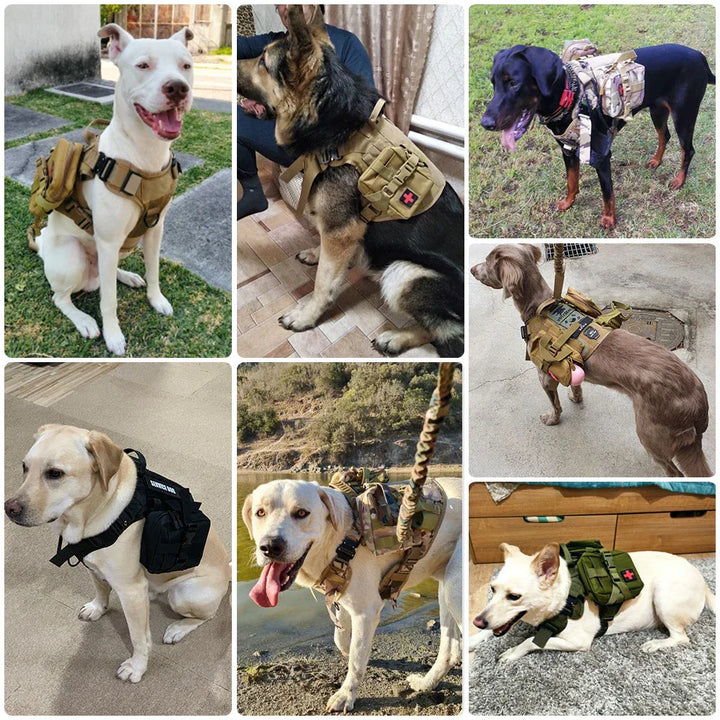 Duurzaam nylon tactisch hondentuig en riem voor grote honden. Gebouwd voor avontuur, training en dagelijks gebruik. Robuust.
