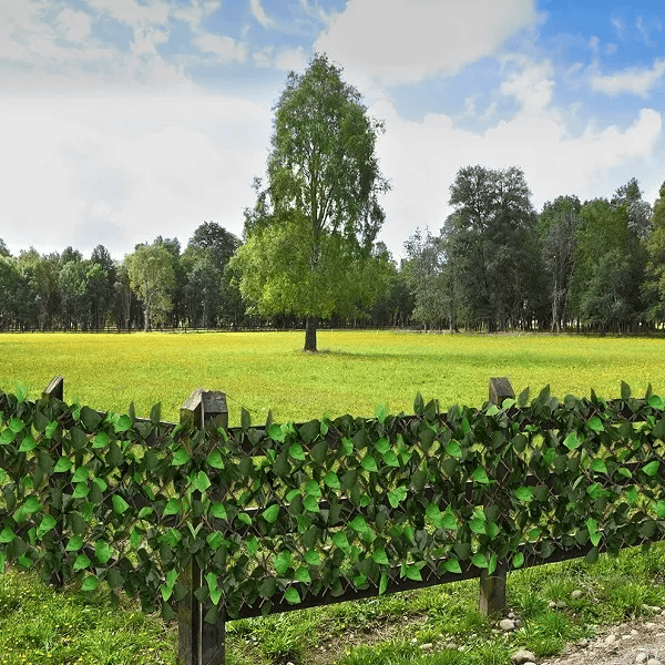 Genieten van privacy in de tuin dankzij het onderhoudsvrije uitschuifbare kunstklimop haagelement.