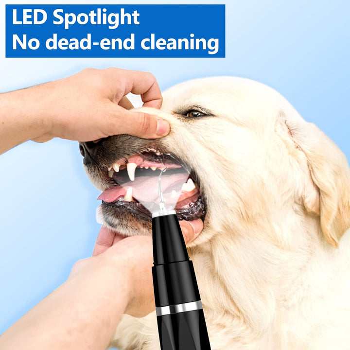 Close-up van de ultrasone tip voor honden en katten, ideaal voor nauwkeurige tandsteen- en plaque verwijdering.