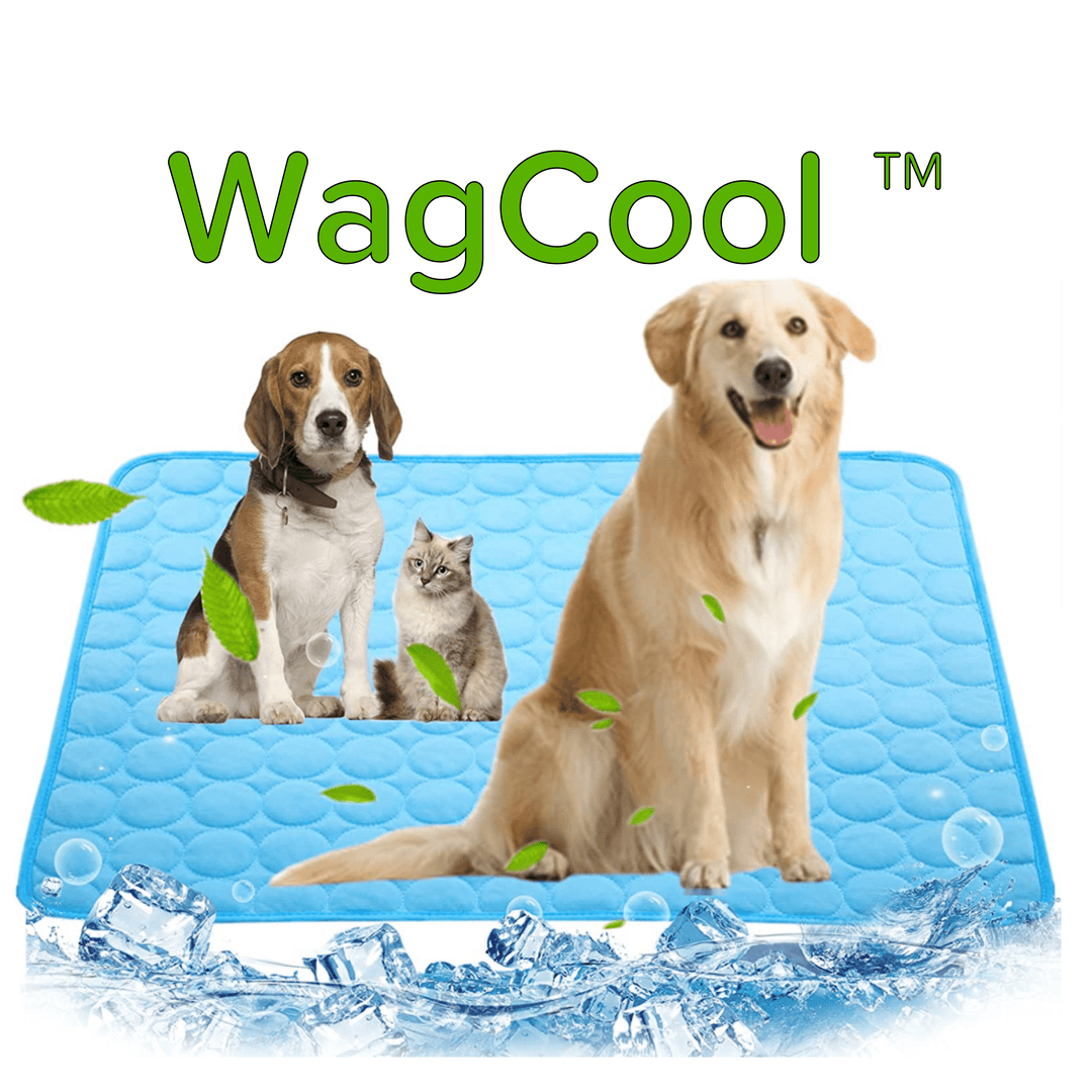 Verkoelende hondenmat voor ultiem zomercomfort; ideaal voor huisdieren die verkoeling zoeken.