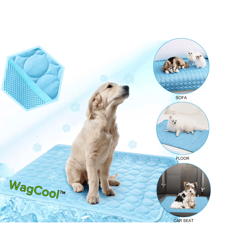 Gelukkige hond ligt ontspannen op een blauwe, verkoelende CoolPet mat, genietend van zomercomfort.