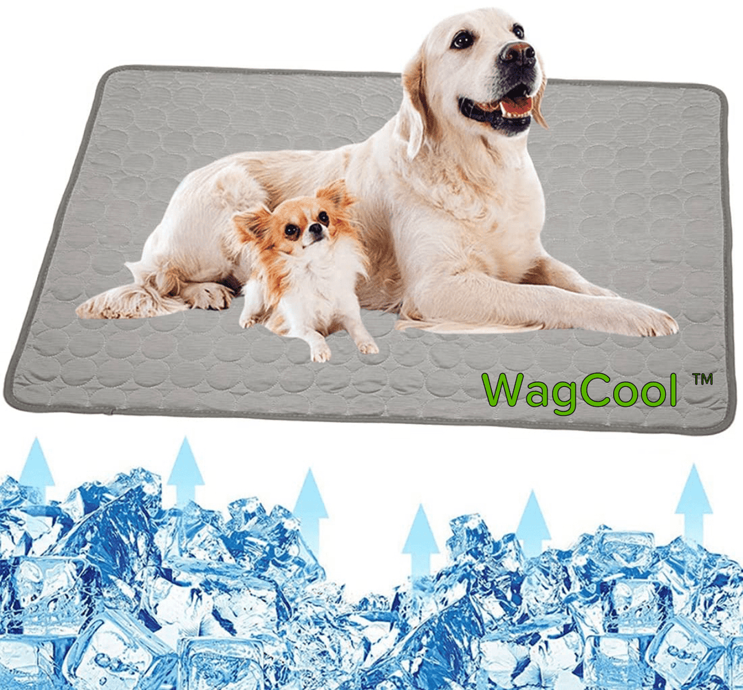 Essentiële koelmat voor huisdieren, biedt verkoelend zomercomfort en draagt bij aan dierenwelzijn.