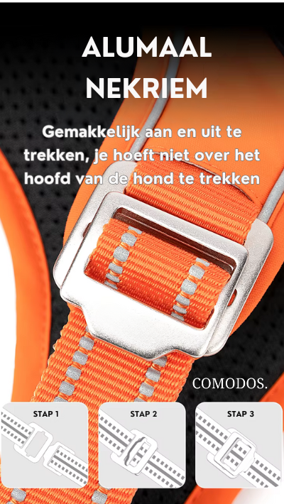Veilig hondenharnas voor huisdieren, met reflecterende elementen voor betere zichtbaarheid outdoor.
