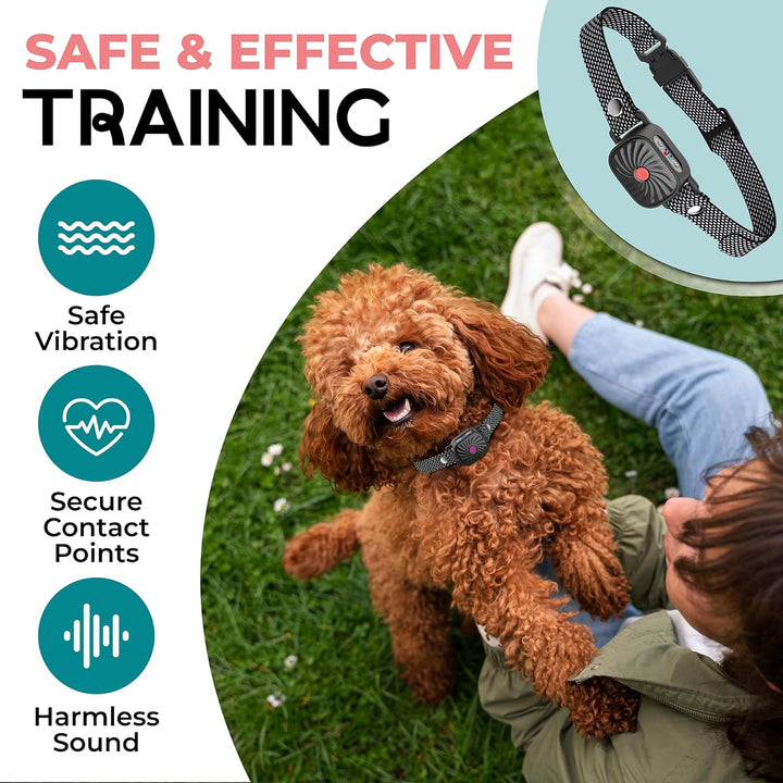 Diervriendelijke anti-blafhalsband, speciaal voor kleine honden en puppy's. Ondersteunt rustige hondentraining.