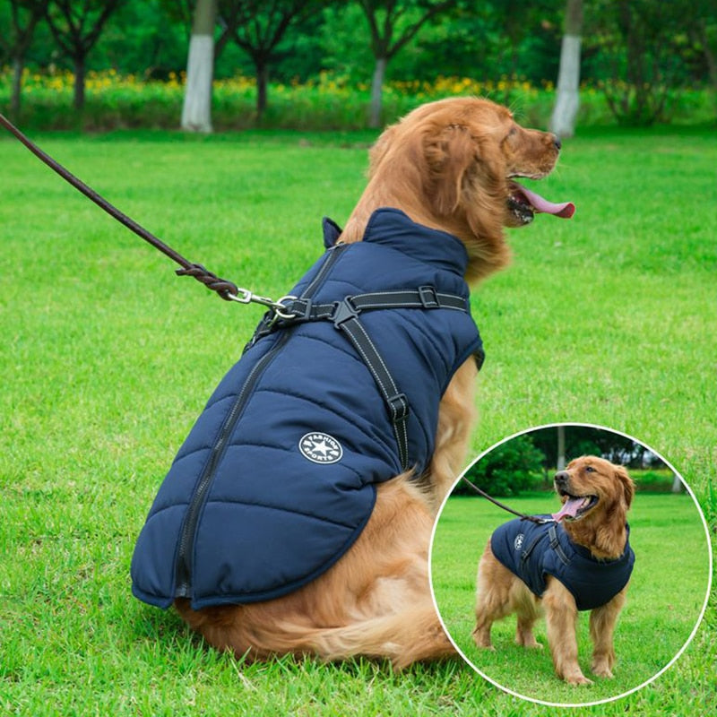 Warme geïsoleerde hondenjas met reflecterend harnas, ideaal voor winterse wandelingen.