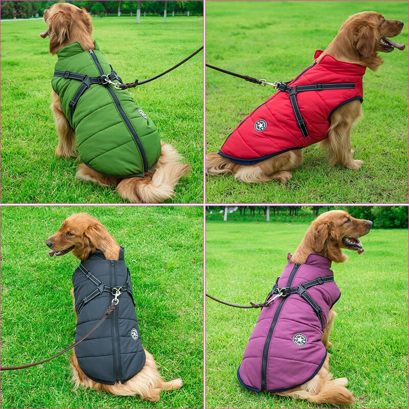 Alles-in-één hondenkleding: warme, waterdichte hondenjas en reflecterend harnas. Ideaal voor koude dagen.