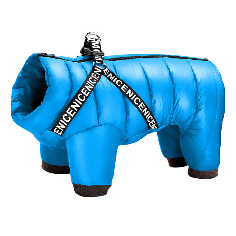 Blije hond in comfortabele, warme ArcticPaws winterjas, ideaal voor koude dagen buiten.