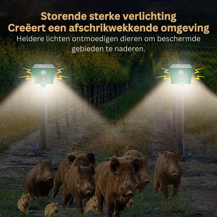 Close-up van het WildGuard apparaat met zonnepaneel en detectievenster, voor buiten.