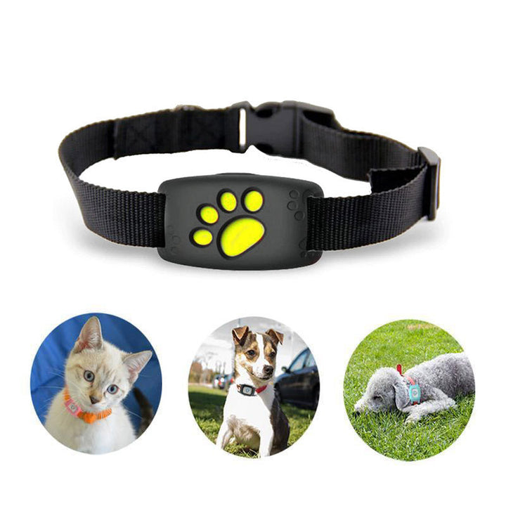PawTrack slimme GPS-halsband voor katten en kleine honden. Waterdichte huisdier tracker, compact en veilig.