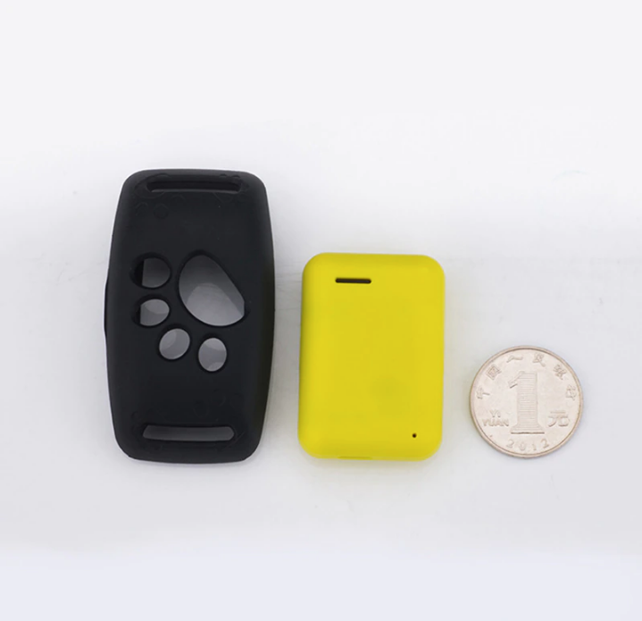 Grijze PawTrack GPS-halsband om de nek van een kleine hond die in het bos rent. Realtime tracking voor buitenavonturen.